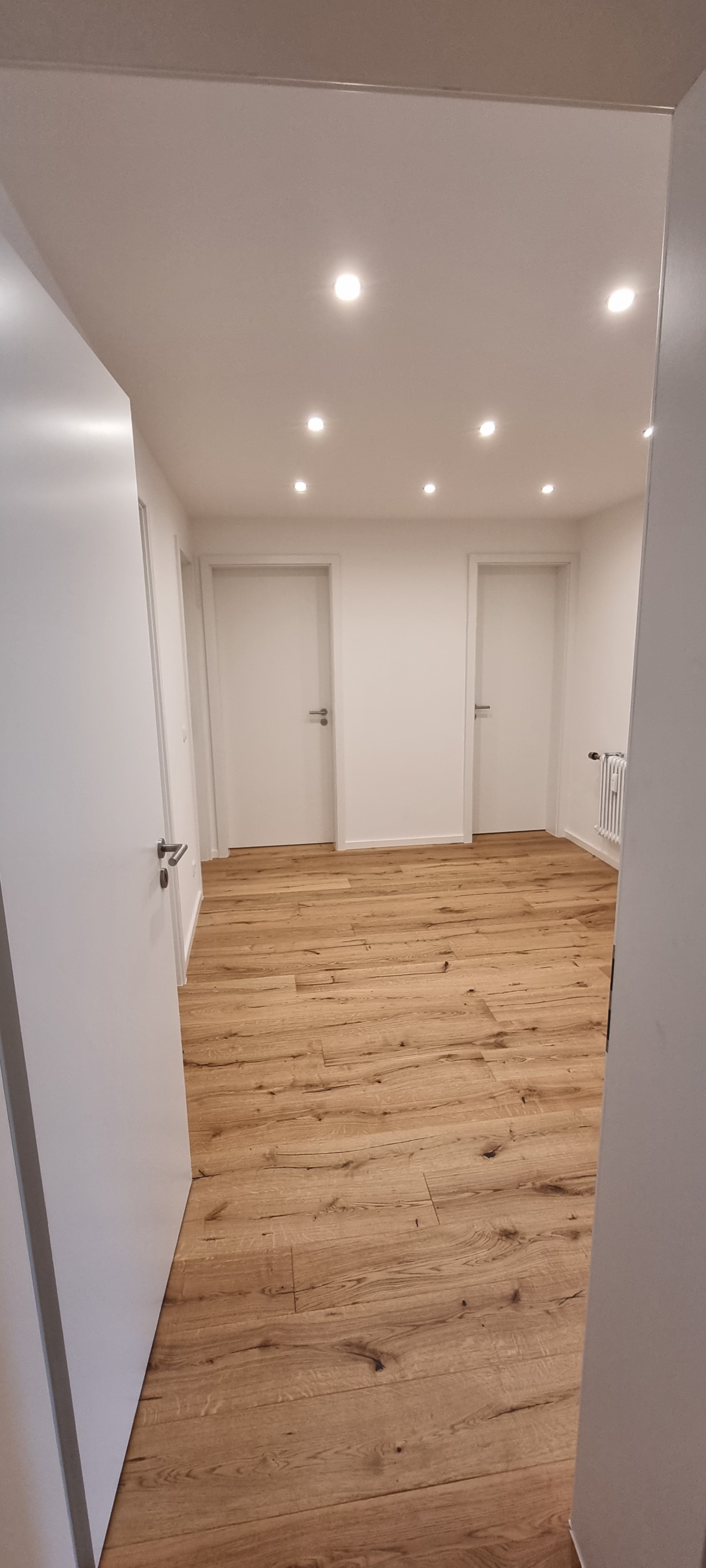 Innenausbau Parkettboden mit Türen